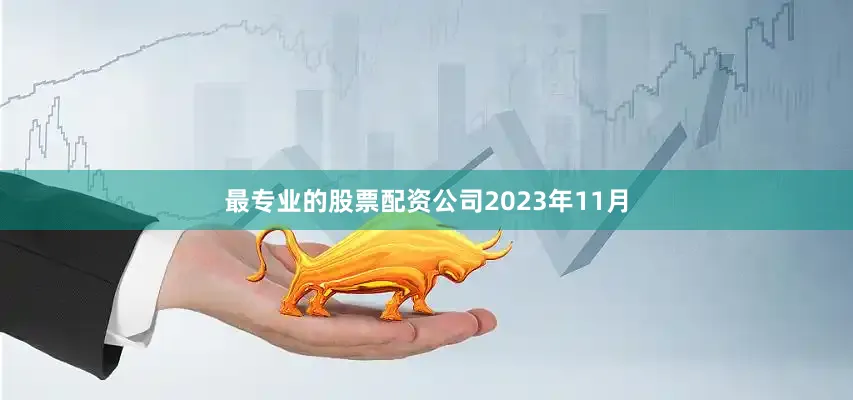 最专业的股票配资公司　　2023年11月