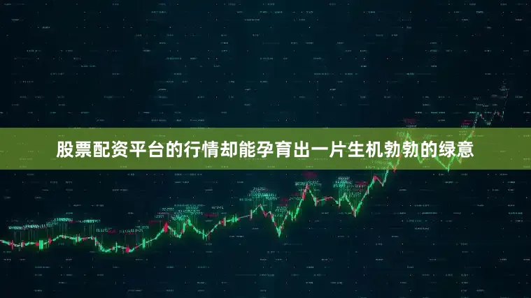 股票配资平台的行情却能孕育出一片生机勃勃的绿意