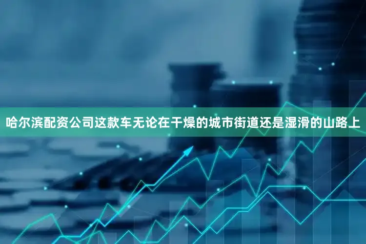 哈尔滨配资公司这款车无论在干燥的城市街道还是湿滑的山路上