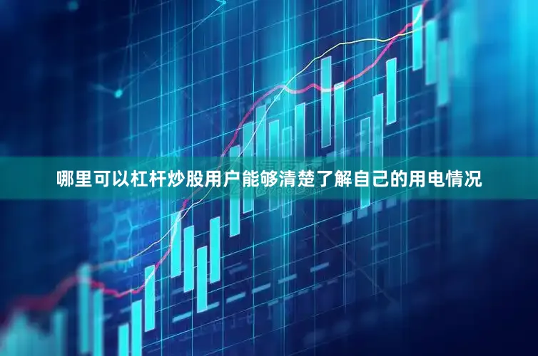 哪里可以杠杆炒股用户能够清楚了解自己的用电情况