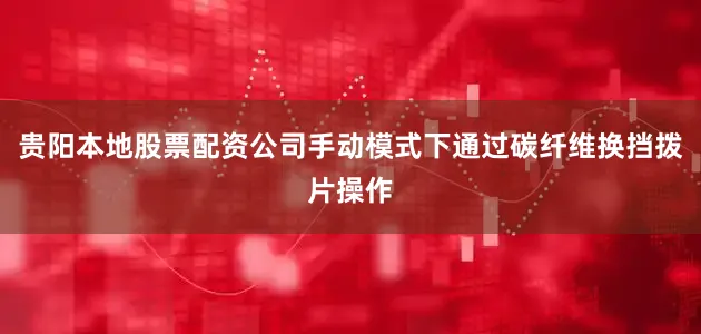 贵阳本地股票配资公司手动模式下通过碳纤维换挡拨片操作